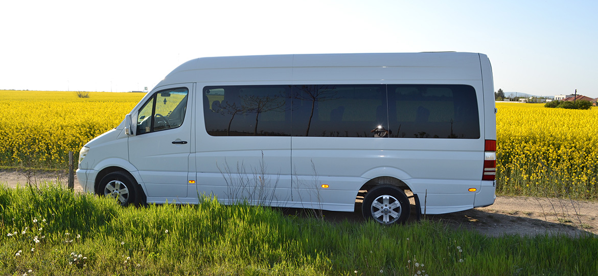 Minibus Mercedes Sprinter